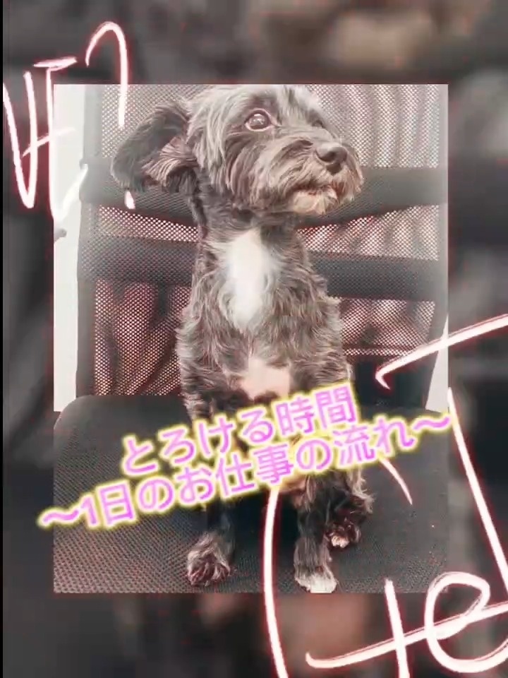 とろける時間～脳バク♡エステ～  アピールポイント動画