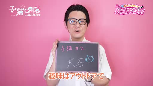 子猫カフェ アピールポイント!!動画