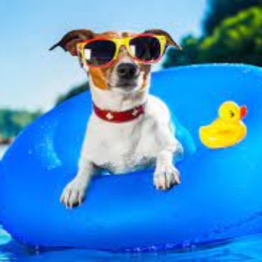 優美～ゆうび～  寝取られ店長