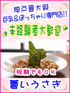 ショップ名の求人・体入情報