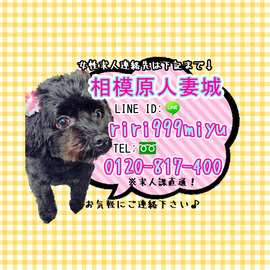 相模原人妻城の店舗情報