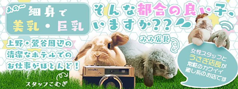 東京エリアのおすすめ求人 ぷるりんクエスト上野浅草鶯谷秋葉原デリヘル王国