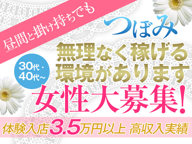 つぼみの求人